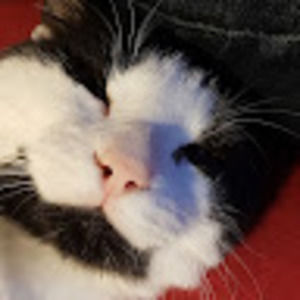 Meet your Posher, Cooper